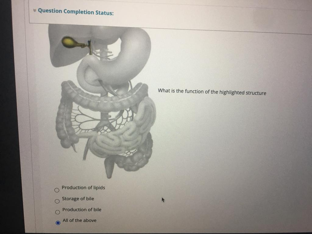 Solved Question Completion Status: What is the function of | Chegg.com