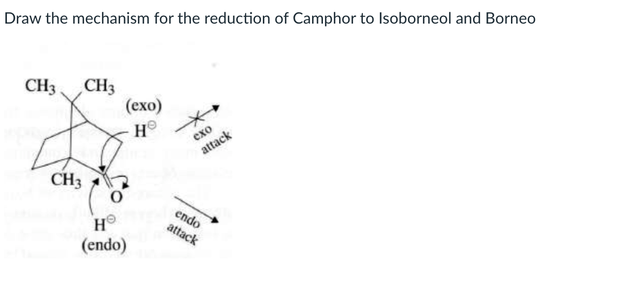 Solved Draw the mechanism for the reduction of Camphor to