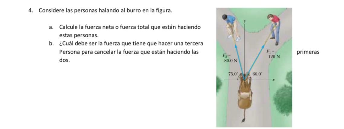 4. Considere las personas halando al burro en la figura. a. Calcule la fuerza neta o fuerza total que están haciendo estas pe