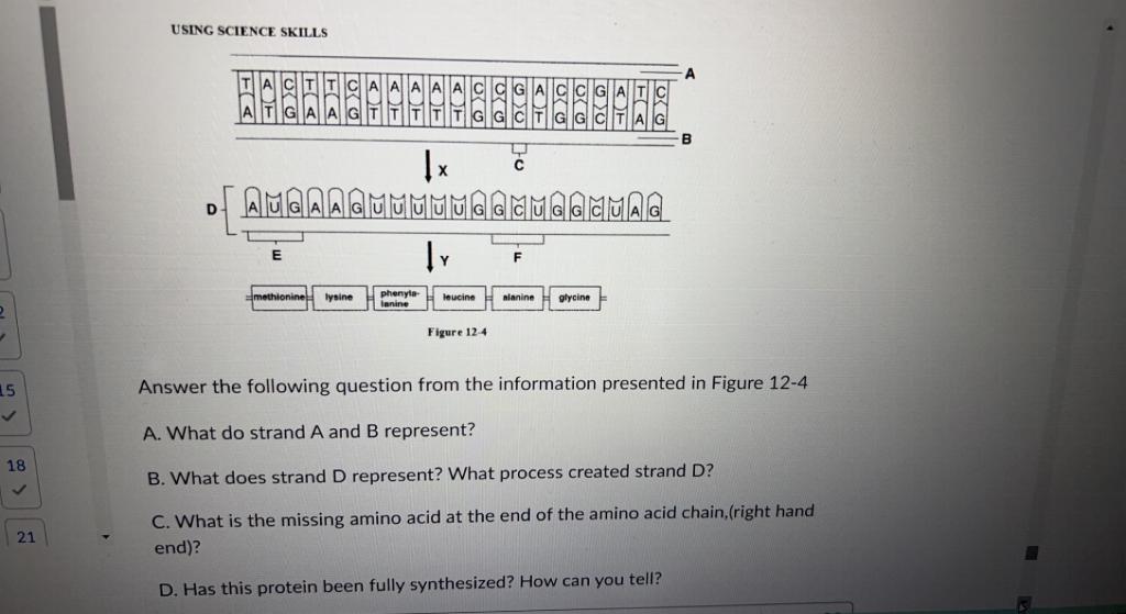 solved-using-science-skills-answer-the-following-question-chegg