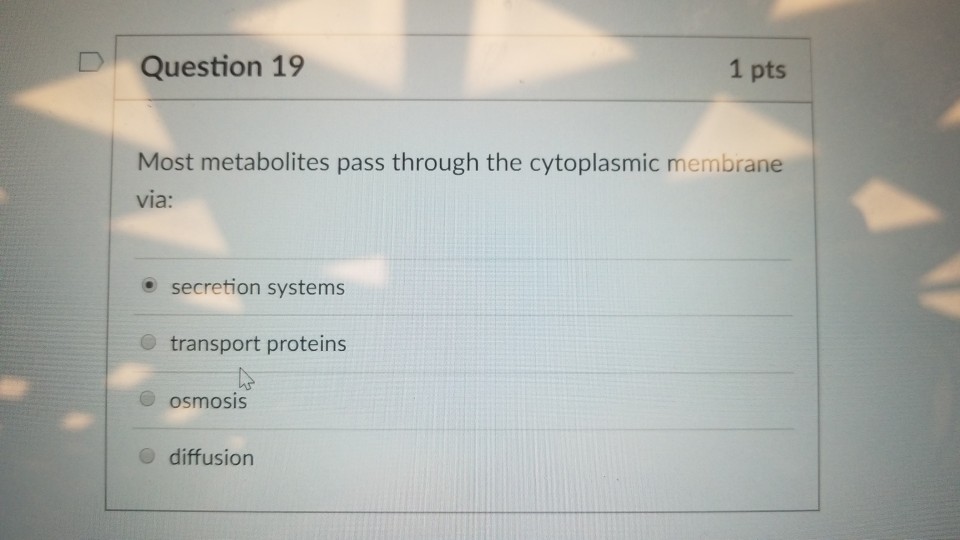 Solved 1 pts D Question 19 Most metabolites pass through the | Chegg.com