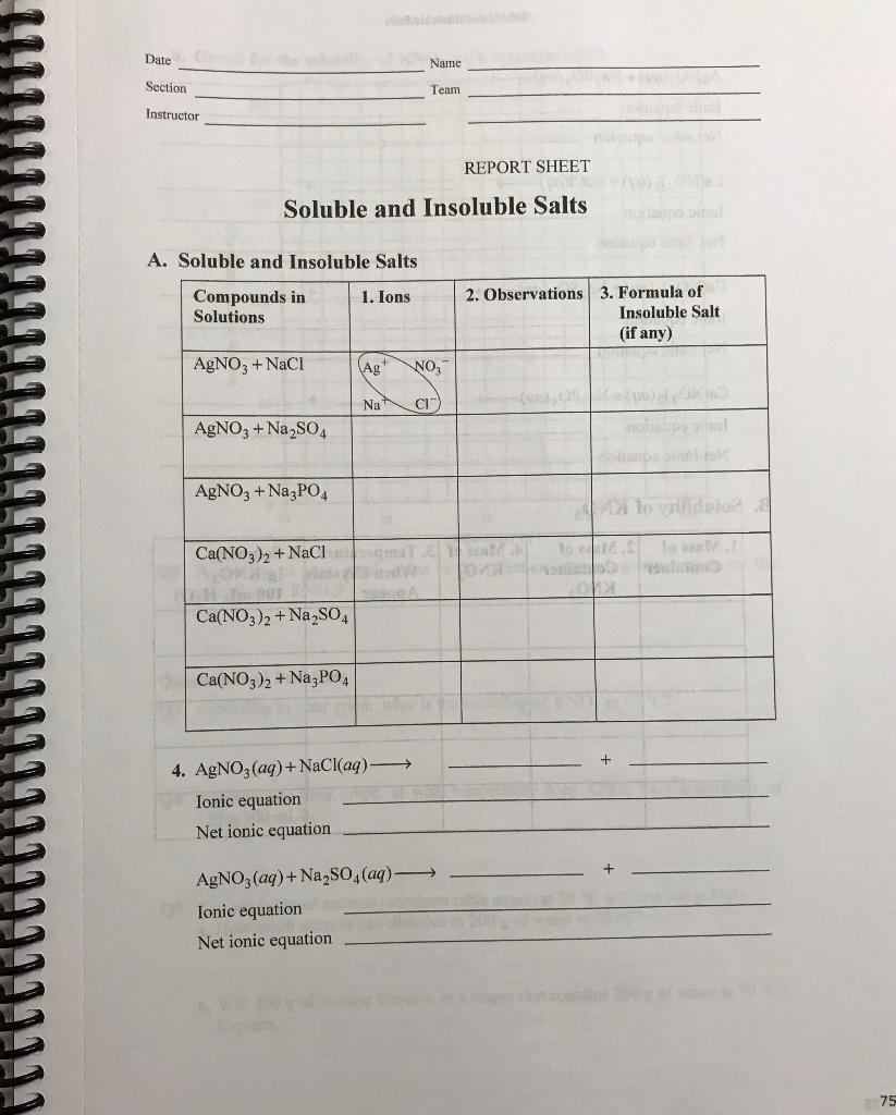 Please Help As Soon As Possible Answers Need To Be Chegg Com