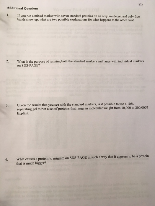 Solved 173 Additional Questions 1. If you run a mixed marker | Chegg.com