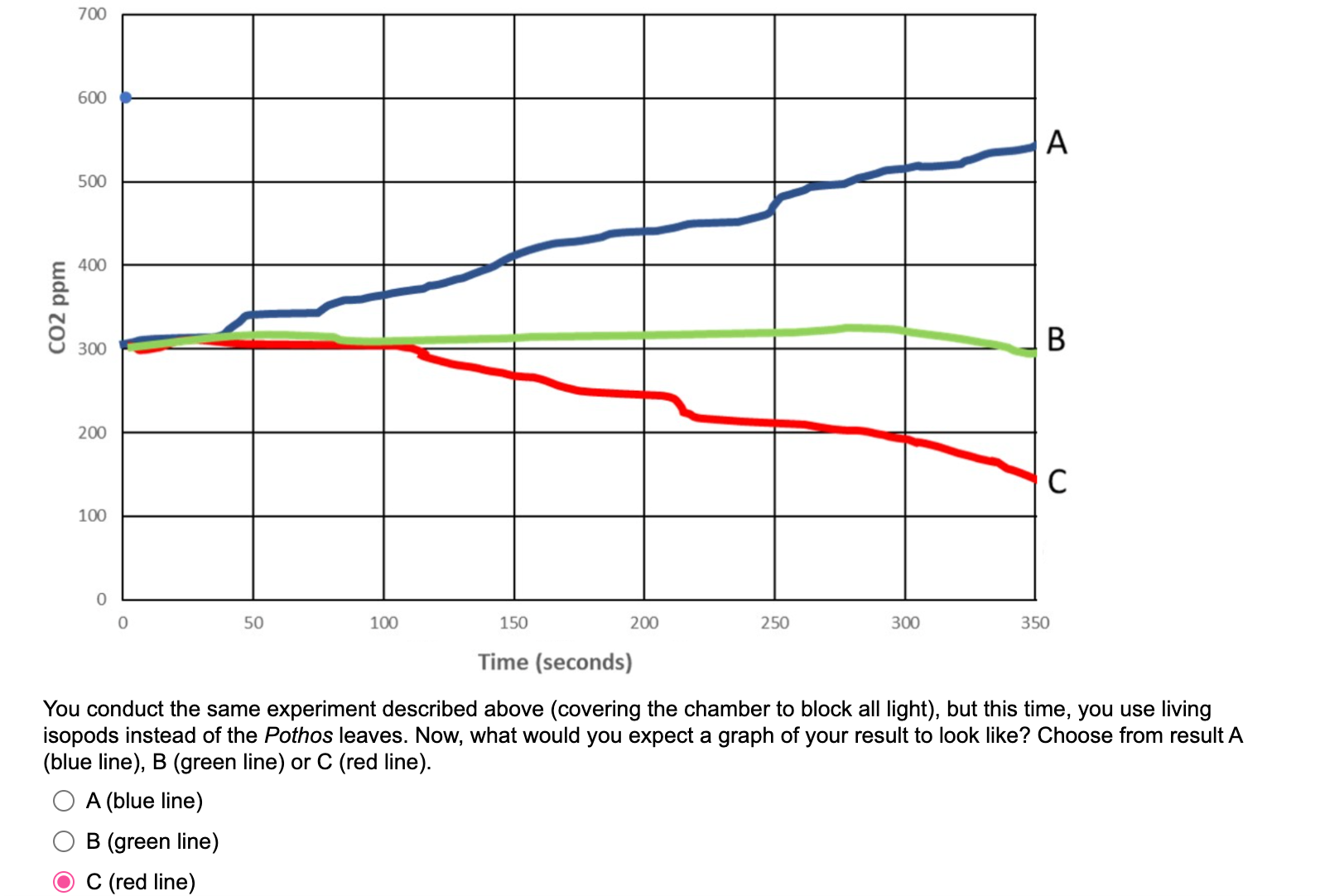 what stays the same in a experiment