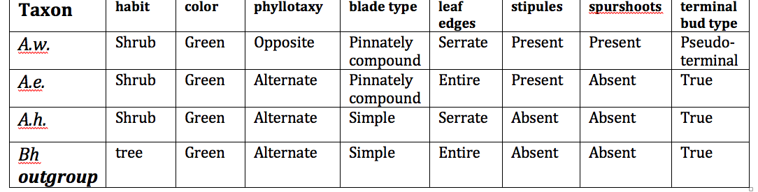 Solved Using the table below, draw 3 phylogenetic trees that | Chegg.com