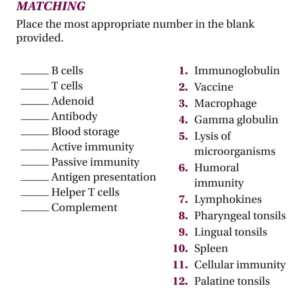MATCHING
Place the most appropriate number in the blank
provided.
B cells
1. Immunoglobulin
2. Vaccine
T cells
Adenoid
3. Mac
