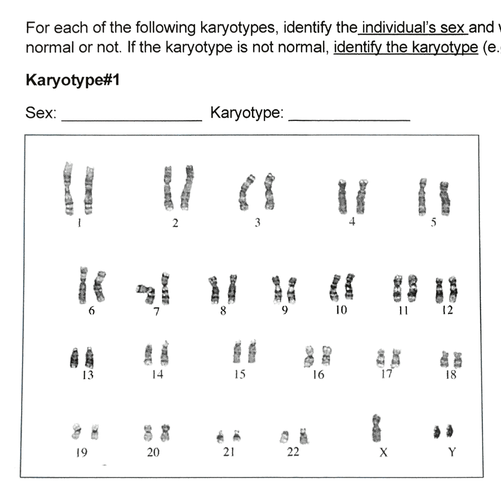 Solved Identify The Individuals Sex And Whether The