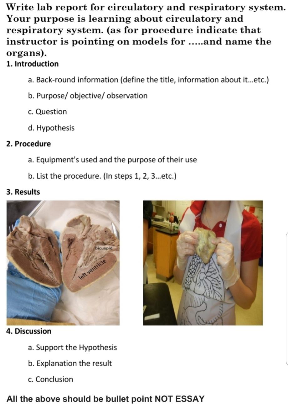 Solved Write lab report for circulatory and respiratory