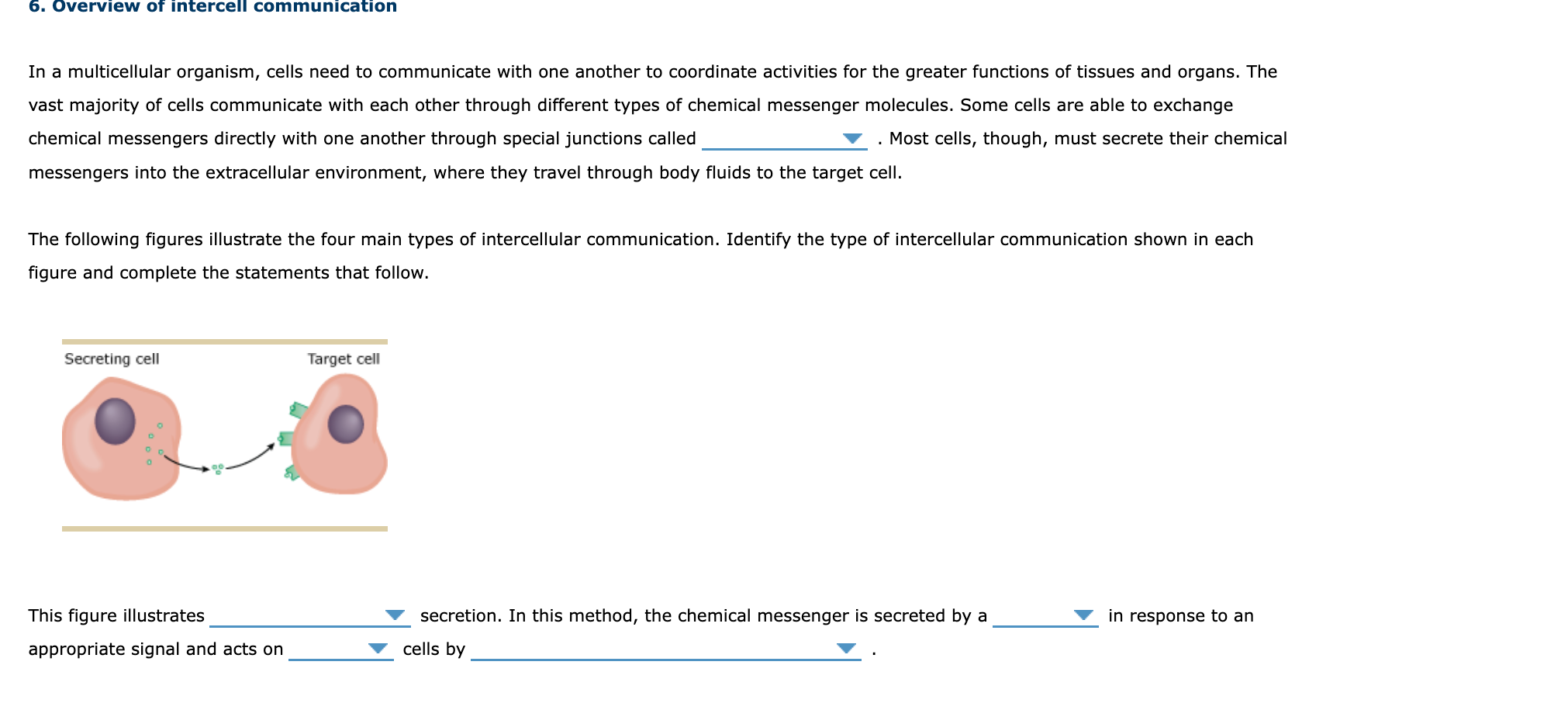 In a multicellular organism, cells need to
