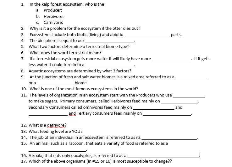 Key Functions of Kelp in Marine Ecosystems