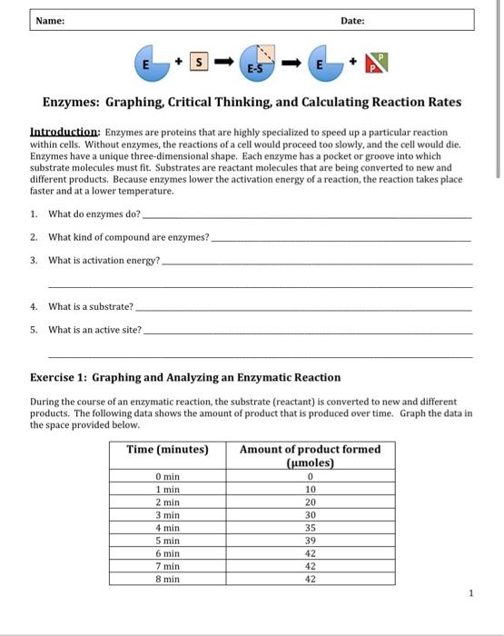 enzymes graphing critical thinking and calculating reaction rates worksheet answers