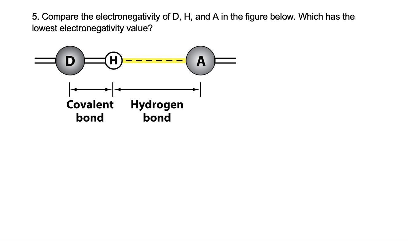 Solved 5. Compare the electronegativity of D, H, and A in | Chegg.com