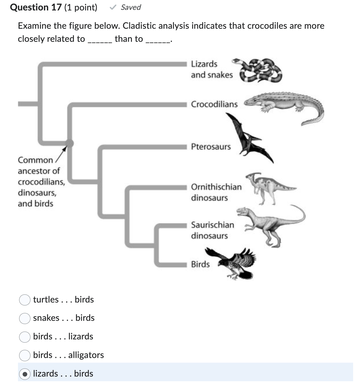 Solved Examine the figure below. Cladistic analysis | Chegg.com