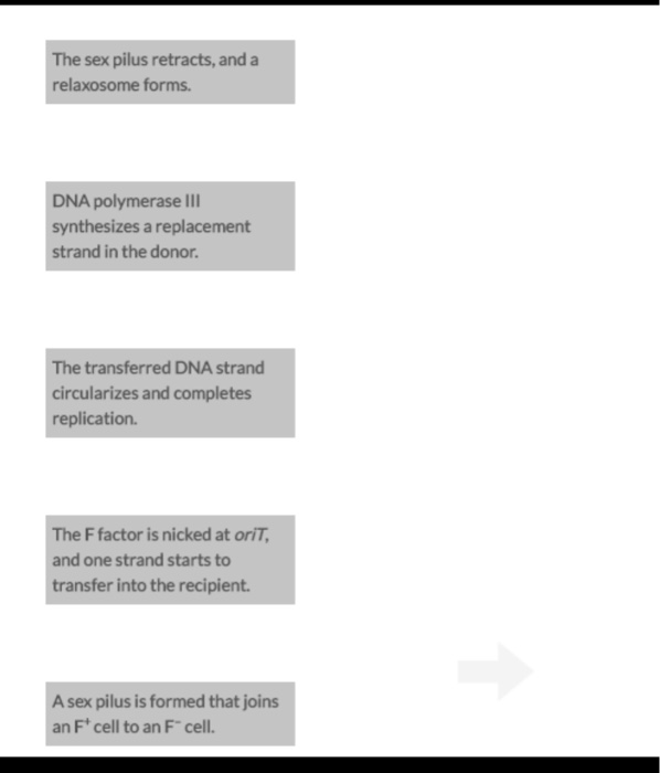 Solved Correctly order the following steps in bacterial | Chegg.com