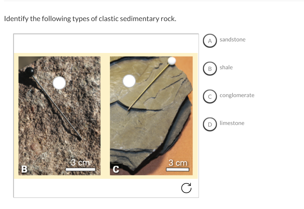 solved-identify-the-following-types-of-clastic-sedimentary-chegg