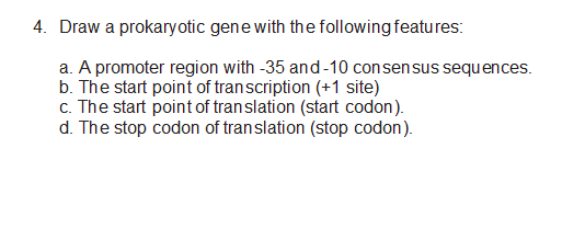 Solved 4. Draw a prokaryotic gene with the following | Chegg.com