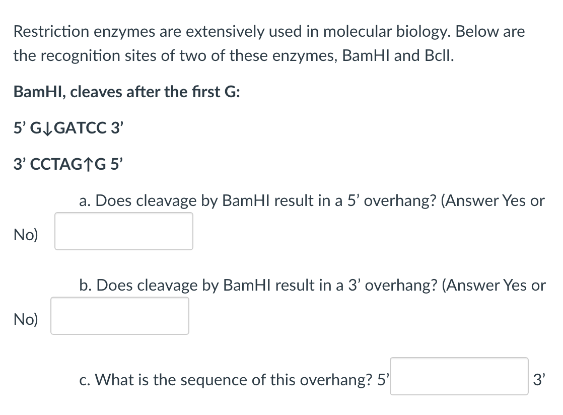 Solved Restriction enzymes are extensively used in molecular