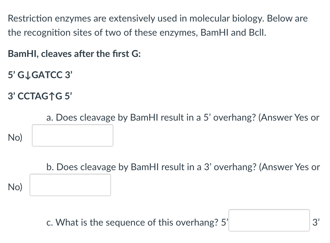 Solved Restriction Enzymes Are Extensively Used In Molecular | Chegg.com