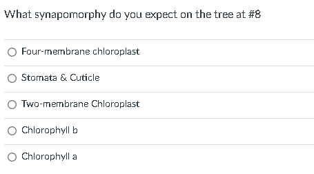 What synapomorphy do you expect on the tree at \( \# 8 \)
Four-membrane chloroplast
Stomata \& Cuticle
Two-membrane Chloropla