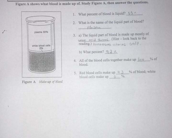 Solved Figure A shows what blood is made up of. Study Figure