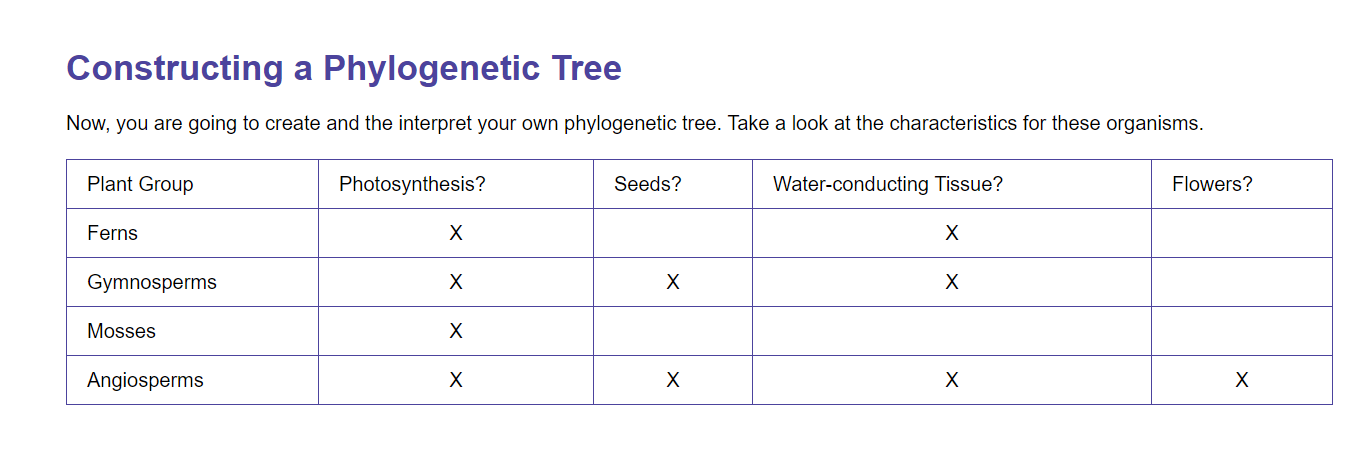 solved-constructing-a-phylogenetic-tree-now-you-are-going-chegg