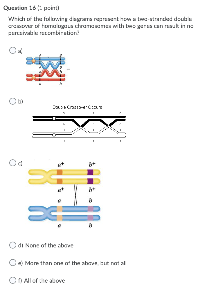 Solved Question 16 1 Point Which Of The Following Diagrams Chegg Com
