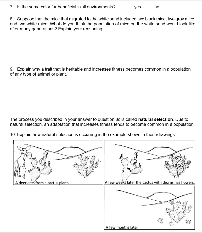solved-evolution-by-natural-selection-a-population-of-mice-chegg