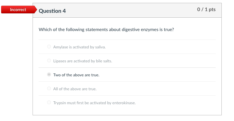 which one of the following statements about digestive enzymes is true