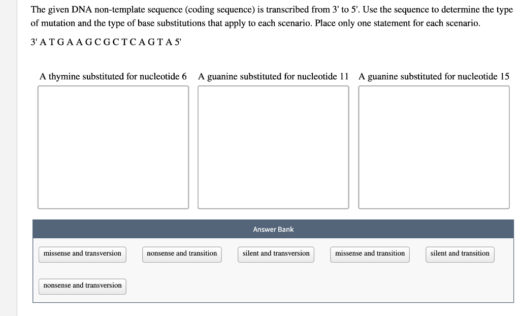 The given DNA nontemplate sequence (coding sequence)