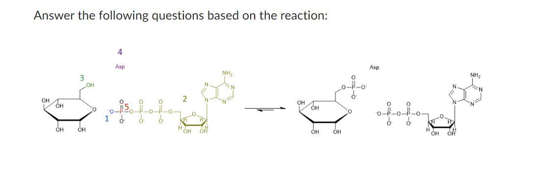 Solved Answer the following questions based on the reaction: | Chegg.com