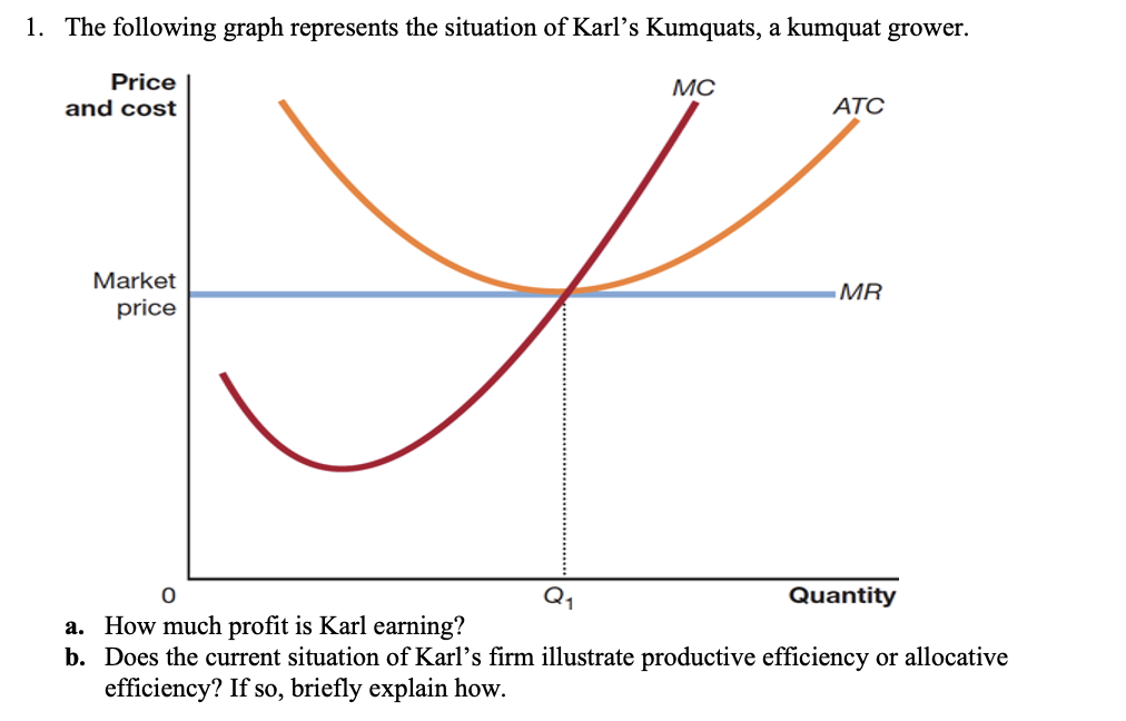 Solved The following graph represents the situation of | Chegg.com