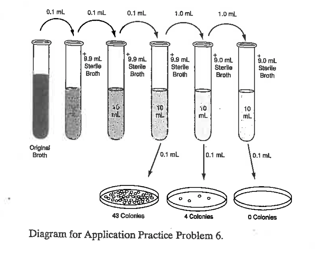Solved You are performing a viable cell count of bacteria. | Chegg.com