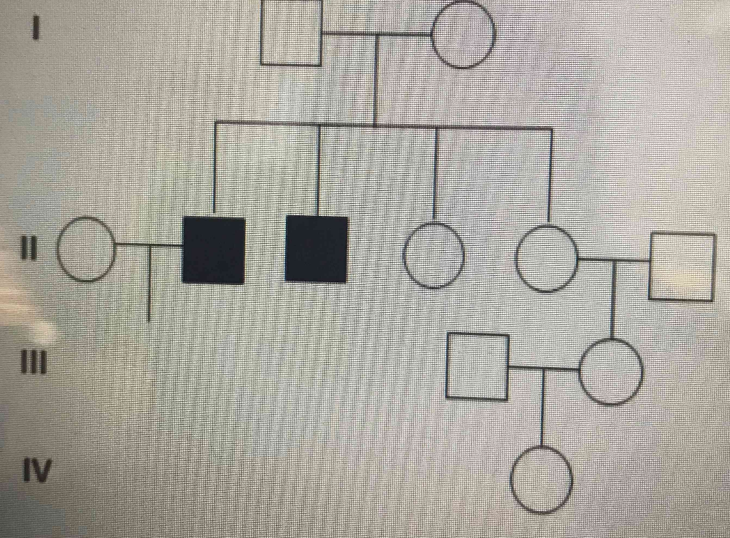 Solved Canine Muscular Dystrophy (CMD) is an X-linked | Chegg.com