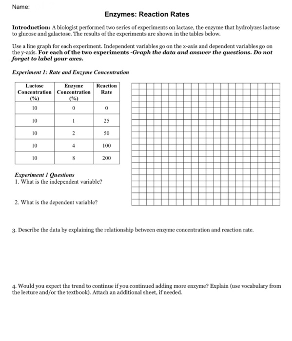 Solved Name: Enzymes: Reaction Rates Introduction: A biol | Chegg.com