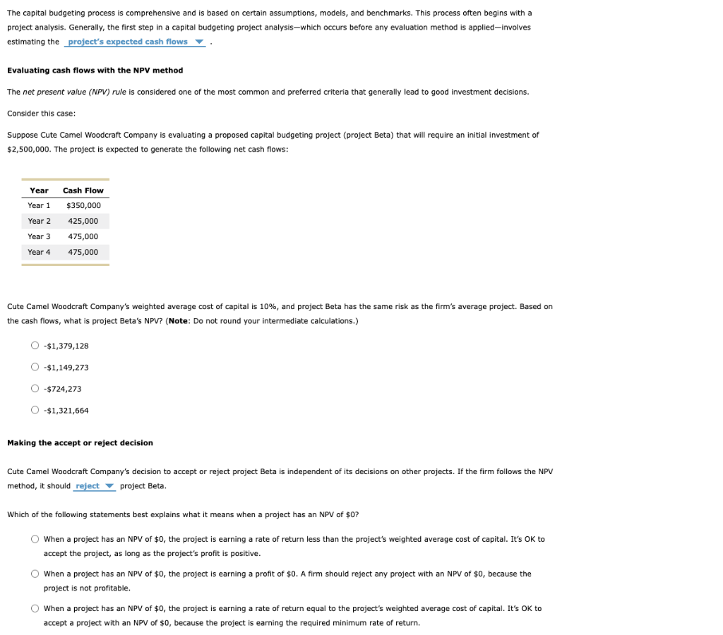 solved-the-capital-budgeting-process-is-comprehensive-and-is-chegg