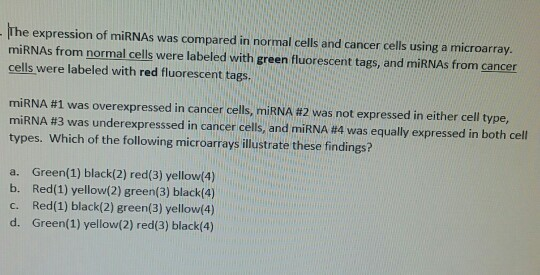 Solved The expression of miRNAs was compared in normal cells | Chegg.com