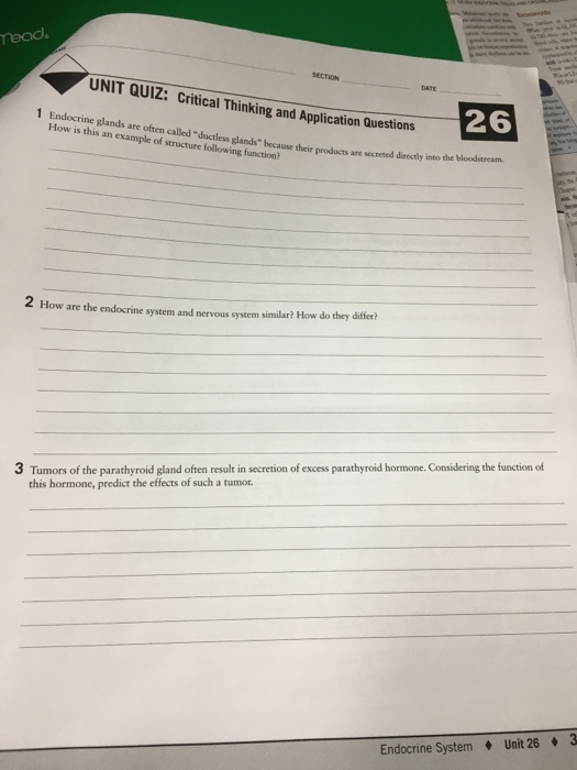 endocrine system quiz anatomy and physiology ap biology endocrine system test