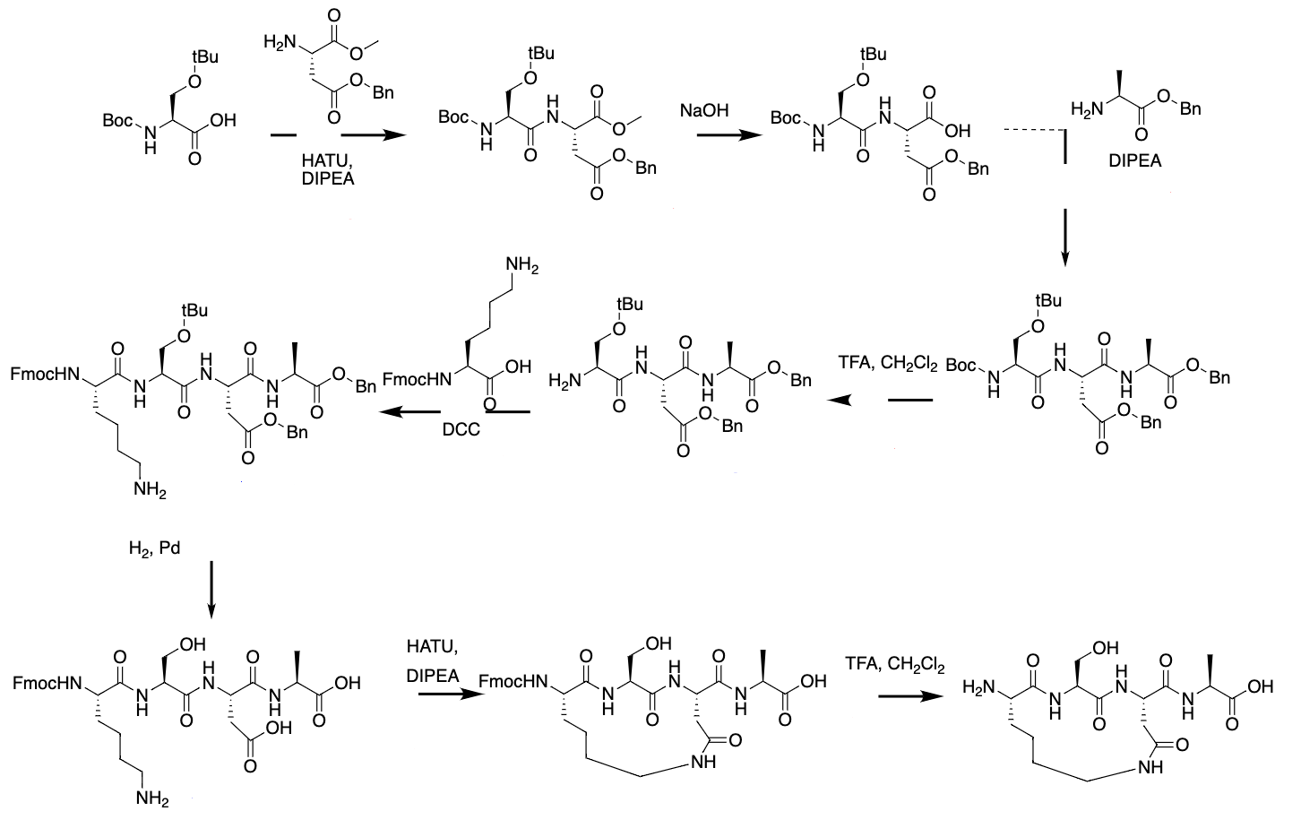 Solved The Synthetic Scheme Below Contains Multiple Errors. | Chegg.com