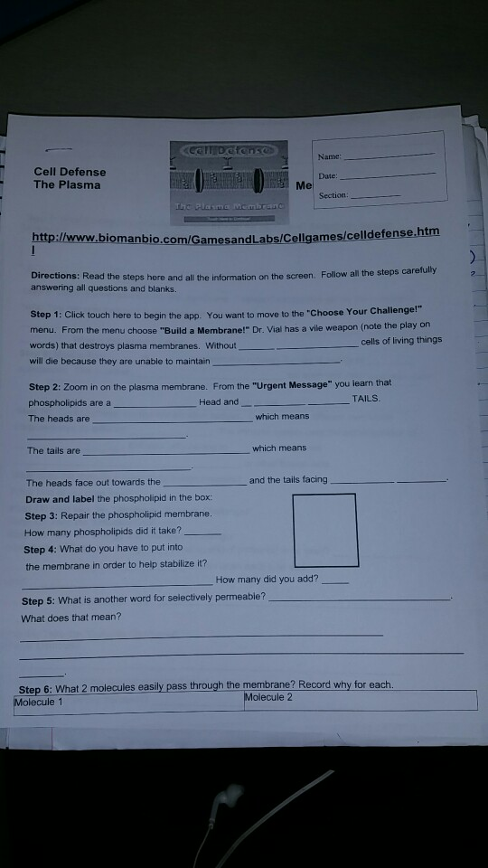 Name Cell Defense The Plasma Section