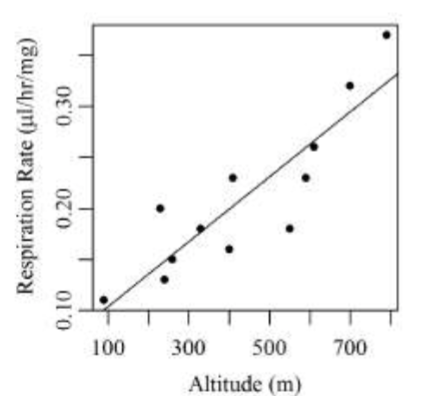 a hypothesis stating that no relationship