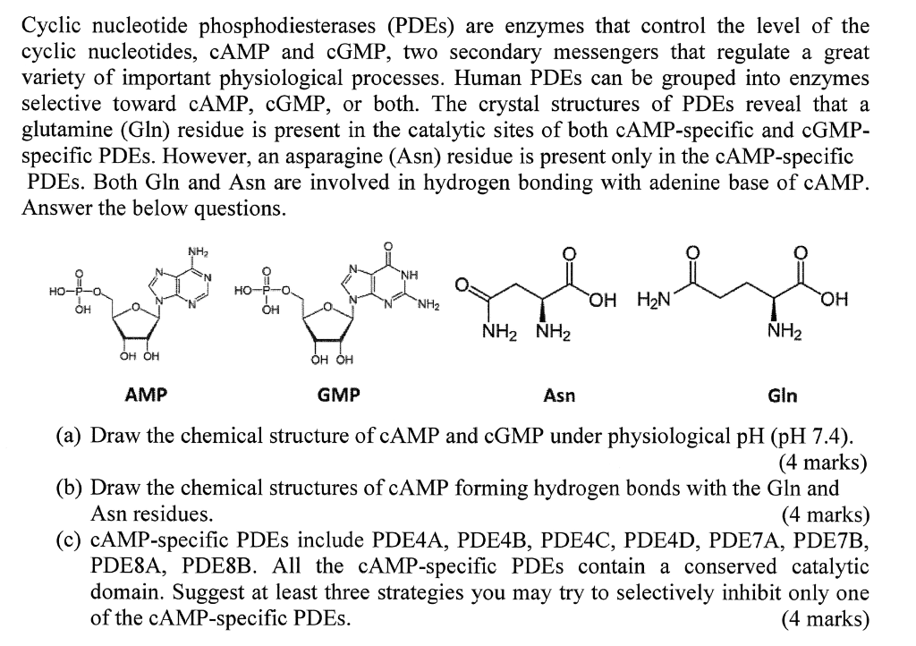 Solved Cyclic nucleotide phosphodiesterases (PDEs) are | Chegg.com