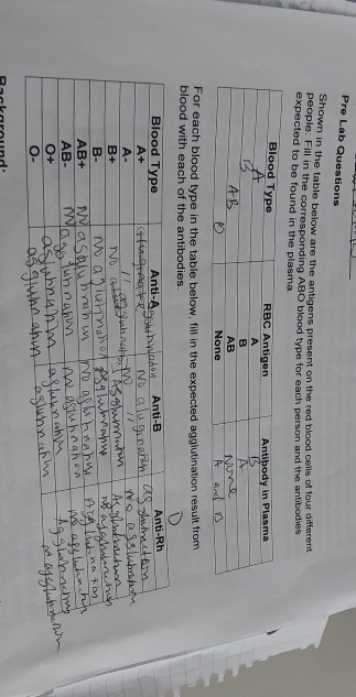 Pre Lab Questions Shown In The Table Below Are The Chegg Com