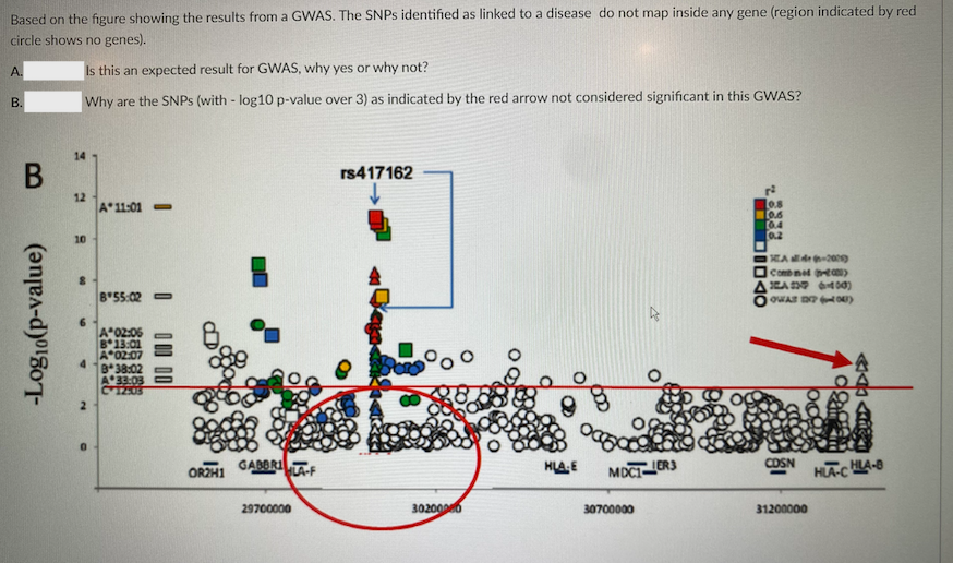 Based on the figure showing the results from a GWAS. | Chegg.com