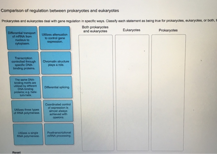Solved Comparison of regulation between prokaryotes and | Chegg.com