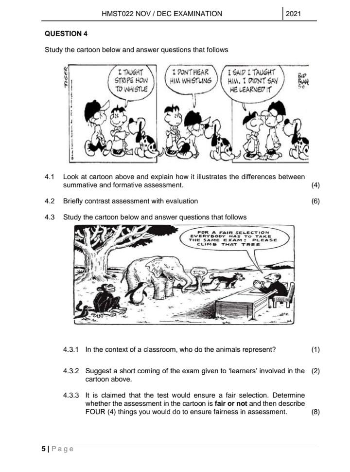 formative assessment comic