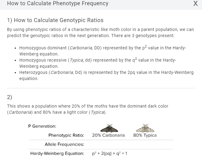Solved Environment Clean Forest Phenotype Frequency Allele