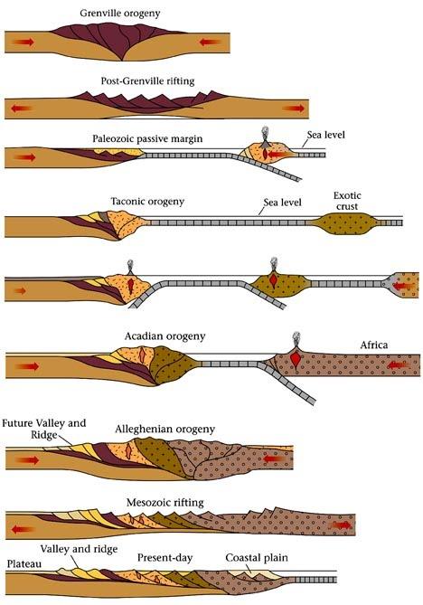 Solved Study the diagram below. Which of the following | Chegg.com
