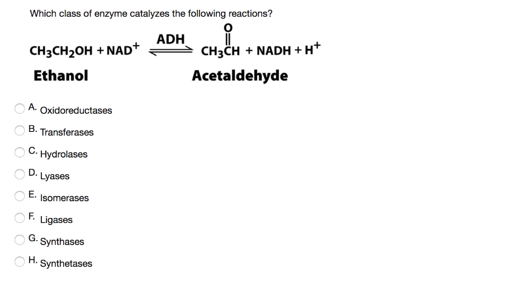 Solved Which class of enzyme catalyzes the following