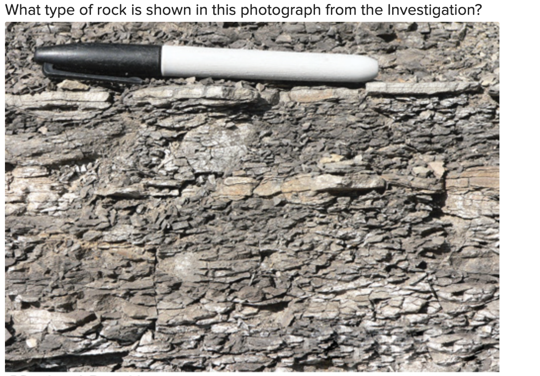 Solved What type of rock is shown in this photograph from