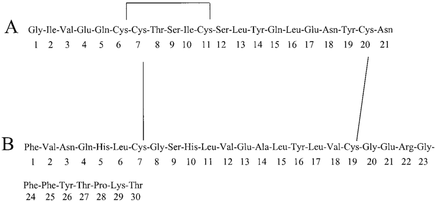 Please Help Me Calculate The Pi Of The Protein In Chegg Com